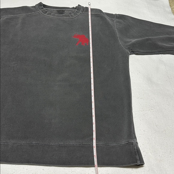 Comfort Colors Elephant Tuscaloosa Alabama sweatshirt size M - Picture 12 of 12